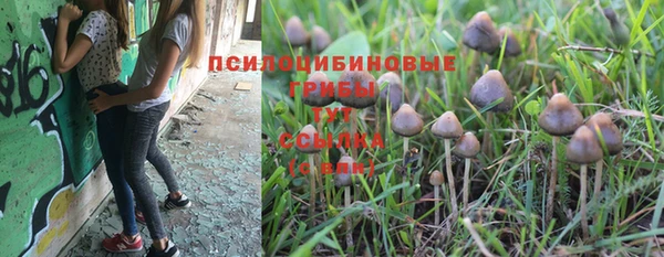 ECSTASY Архангельск