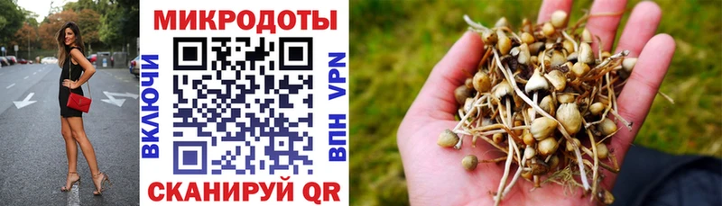 где продают наркотики  Нижнеудинск  hydra зеркало  Галлюциногенные грибы Psilocybe 