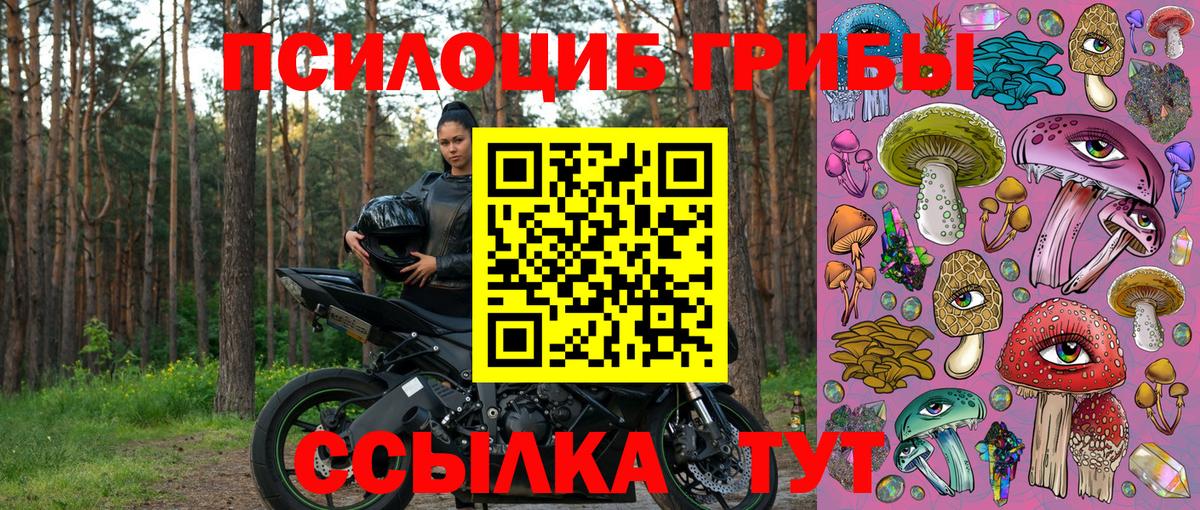 Псилоцибиновые грибы прущие грибы  Вход с VPN  Нижнеудинск 