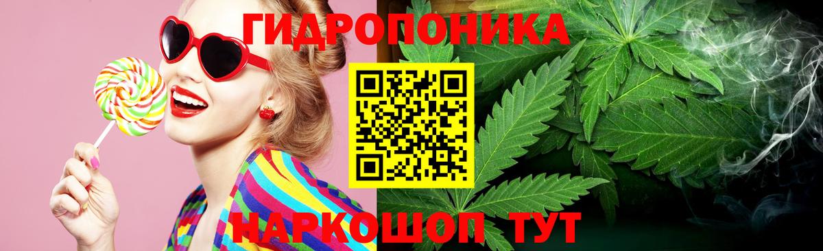 Конопля White Widow  Конопля LSD WEED  Конопля конопля  Нижнеудинск  Бошки Шишки AK-47  Вход с VPN 